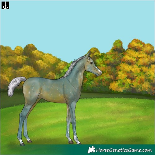 Horse Color:Watercolor Silver Brown 