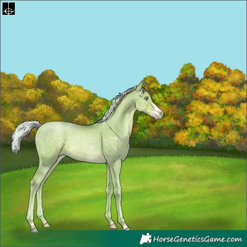 Horse Color:Watercolor Silver Smoky Black Pearl Sabino 