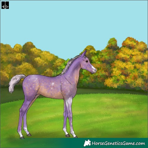 Horse Color:Watercolor Silver Black 