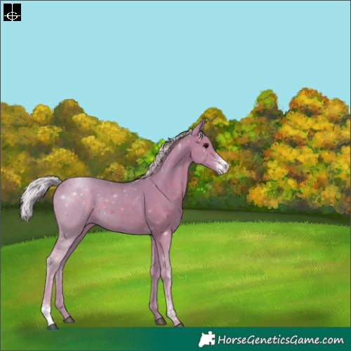 Horse Color:Watercolor Silver Black Sabino 