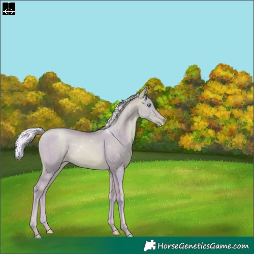 Horse Color:Watercolor Silver Buckskin Pearl Sabino 