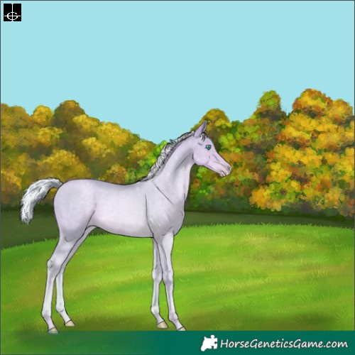 Horse Color:Watercolor Silver Smoky Black Pearl 