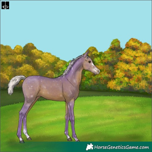 Horse Color:Watercolor Silver Brown Sabino 