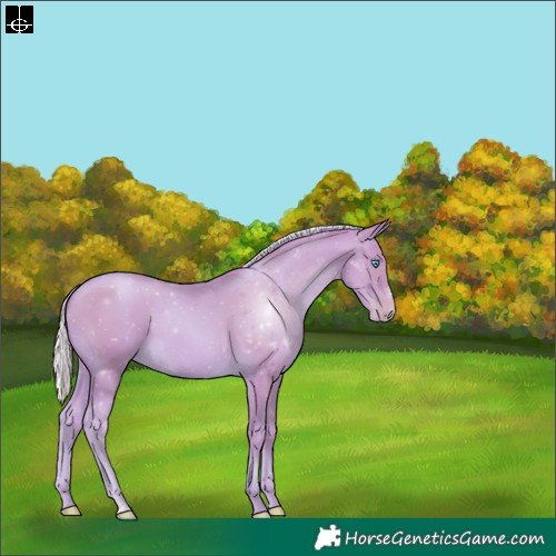 Horse Color:Watercolor Silver Smoky Black Pearl Sabino 