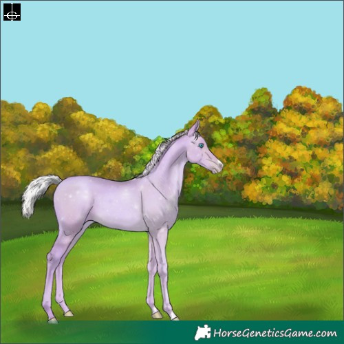 Horse Color:Watercolor Silver Buckskin Pearl 