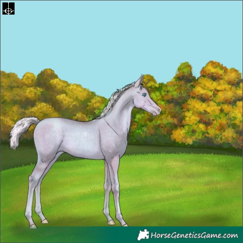 Horse Color:Watercolor Silver Smoky Black Pearl Sabino 