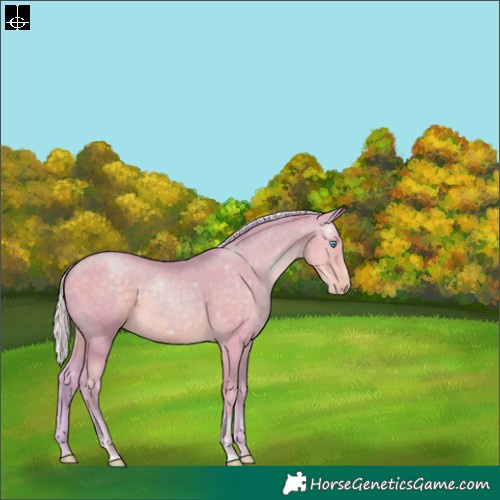 Horse Color:Watercolor Silver Smoky Black Pearl 