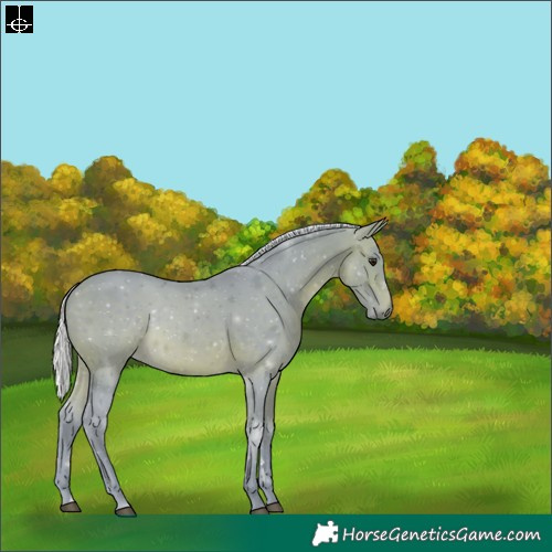 Horse Color:Watercolor Silver Brown 
