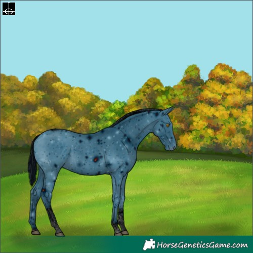 Horse Color:ERROR: UNKNOWN ANOMALY