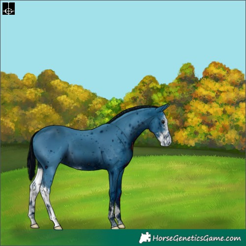 Horse Color:ERROR: UNKNOWN ANOMALY