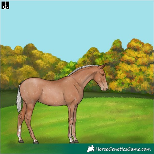 Horse Color:Silver Black Pearl 
