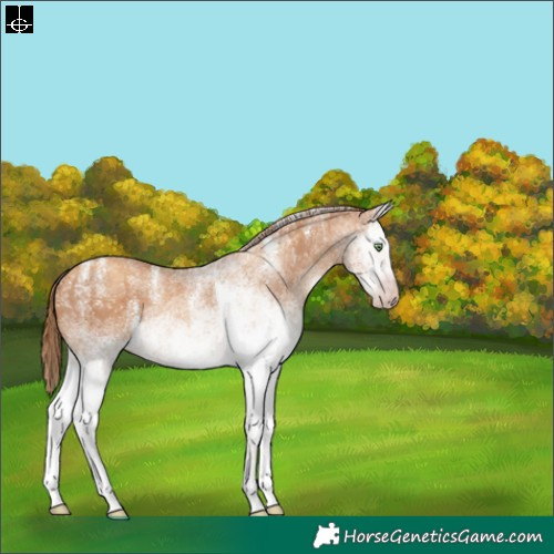 Horse Color:Powder White Gray White Spotted Gold Champagne 