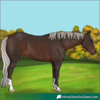 Horse Color:Silver Brown 