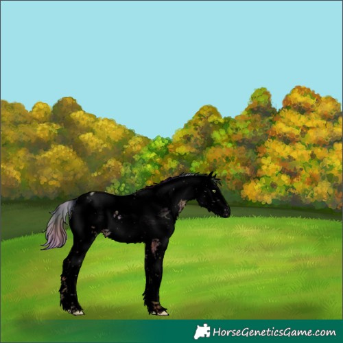 Horse Color:Void Nacre Silver Sable Champagne Ice Sabino Appaloosa Rabicano 