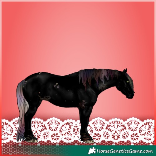 Horse Color:Void Nacre Silver Sable Champagne Ice Sabino Appaloosa Rabicano 