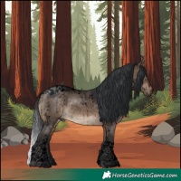Horse Color:Void Brown Dun Tobiano Brindle