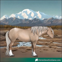 Horse Color:Silver Grullo Pearl Tobiano Rabicano