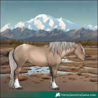 Horse Color:Silver Grullo Pearl Tobiano Rabicano