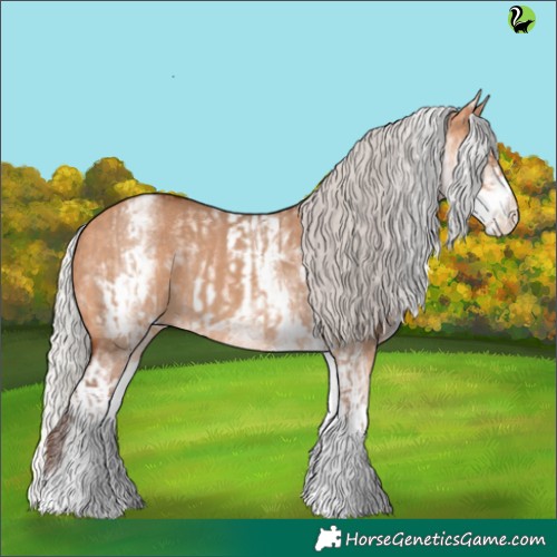 Horse Color:White Spotted Silver Bay Dun Rabicano and White Spotted Silver Bay Dun Rabicano