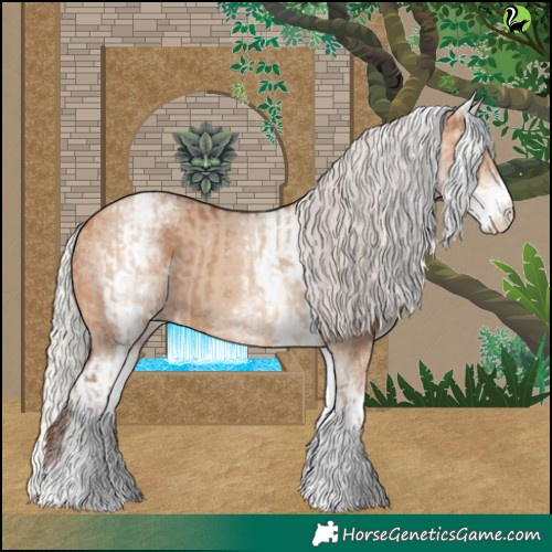 Horse Color:White Spotted Silver Bay Dun Rabicano  and White Spotted Silver Bay Dun Rabicano 