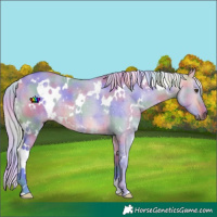 Horse Color:Nacre Watercolor White Spotted Silver Buckskin Dun Rabicano 