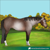 Horse Color:Gray Bay