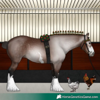 Horse Color:Gray Bay