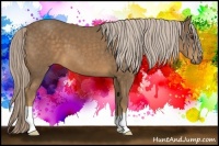Horse Color:Chocolate Palomino 