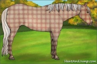 Horse Color:Plaid  Silver Bay Roan 