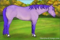 Horse Color:Watercolor Bay Dun