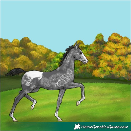 Horse Color:Black Ice Snowcap 