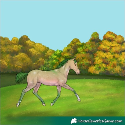 Horse Color:Watercolor Brown Dun 