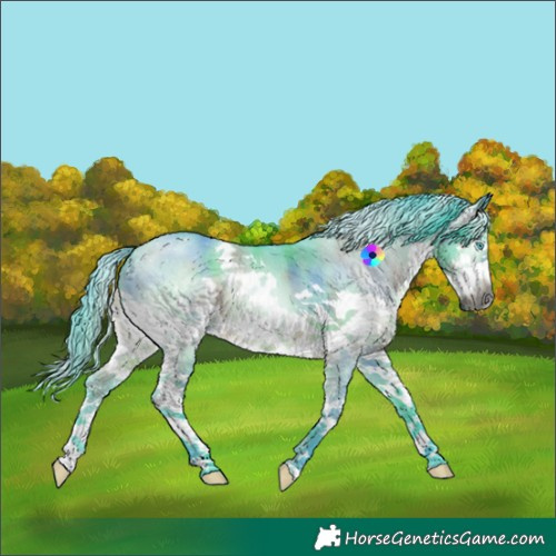 Horse Color:Gray Nacre Watercolor Brown Dun Splash 