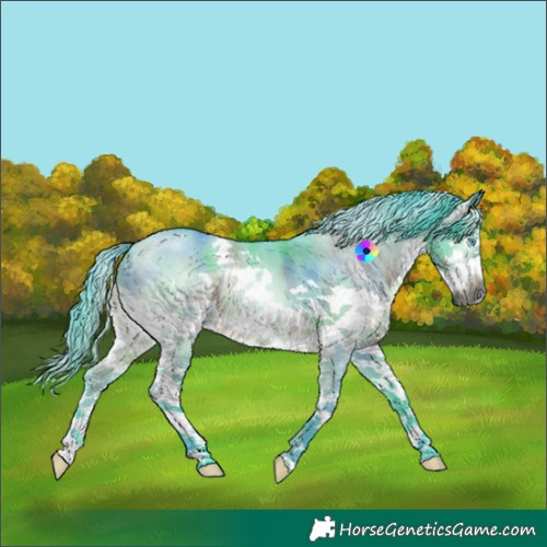 Horse Color:Gray Nacre Watercolor Brown Dun Splash 