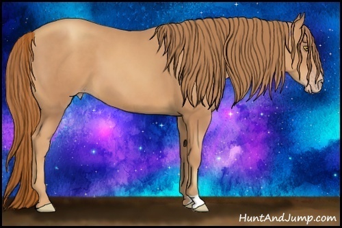 Horse Color:Gold Champagne 