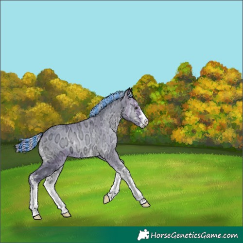 Horse Color:Painted Watercolor White Spotted Silver Brown Ice Onyx 