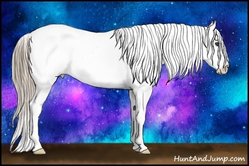 Horse Color:Watercolor Bay Appaloosa 