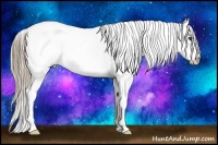 Horse Color:Watercolor Bay Appaloosa 