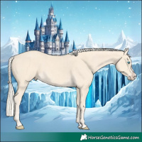 Horse Color:Cremello Splash  and Cremello Splash 