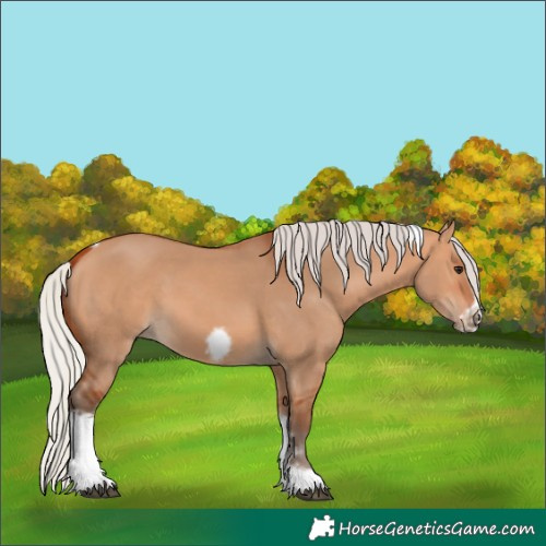 Horse Color:Silver Bay Dun Sabino Tobiano Frame Rabicano 