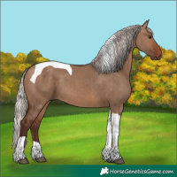 Horse Color:Silver Brown Dun Tobiano 
