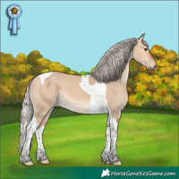 Horse Color:Silver Bay Dun Tobiano 