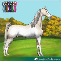 Horse Color:Silver Buckskin Roan Dun Sabino Frame 