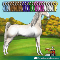 Horse Color:Silver Buckskin Roan Dun Sabino Frame 