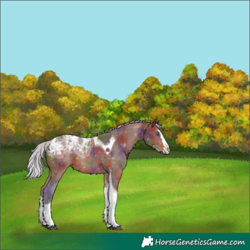 Horse Color:Nacre Silver Brown Ice Splash Tobiano 