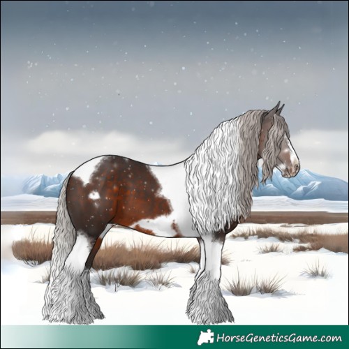 Horse Color:Silver Brown Splash Tobiano Frame 