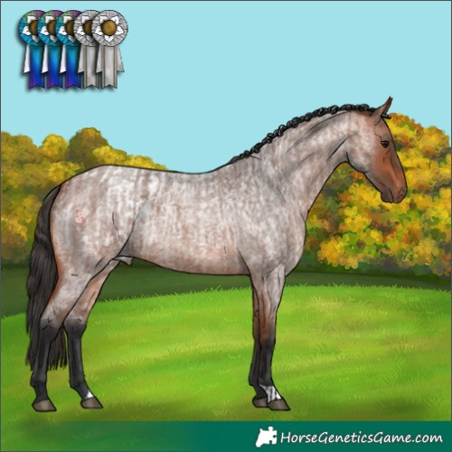 Horse Color:Bay Roan Blanket  and Bay Roan 