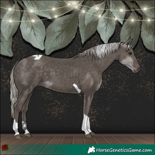 Horse Color:Silver Black Tobiano