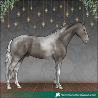 Horse Color:Silver Black Tobiano 