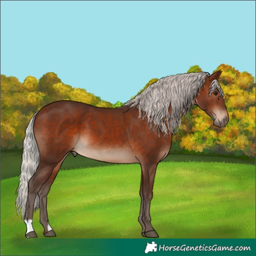 Horse Color:Silver Brown 
